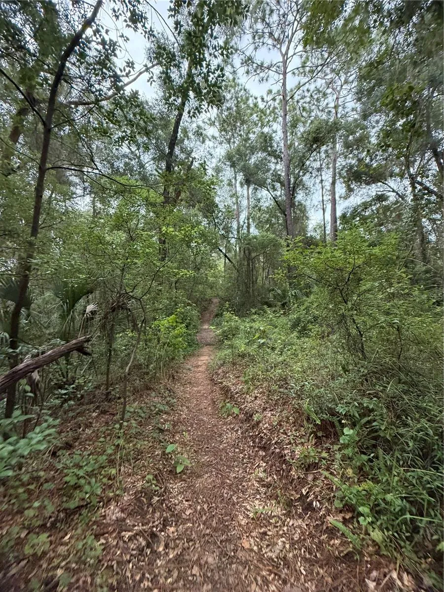 6033 E DELL LANE Inverness, FL 34452
