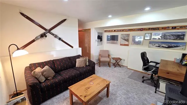 600 S 5th Avenue Frisco, CO 80443