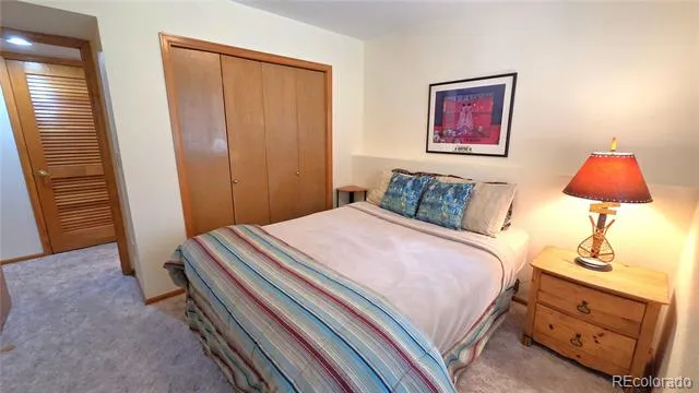 600 S 5th Avenue Frisco, CO 80443