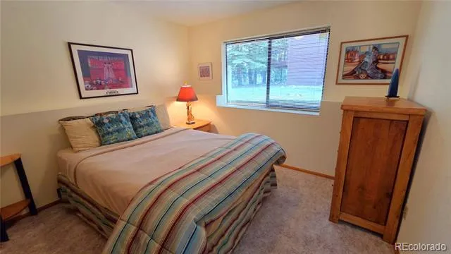600 S 5th Avenue Frisco, CO 80443