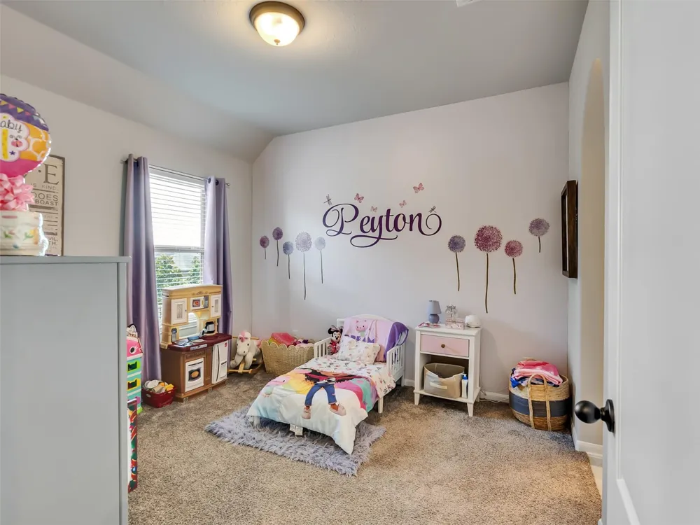 10302 Muir Peak Drive Rosharon, TX 77583