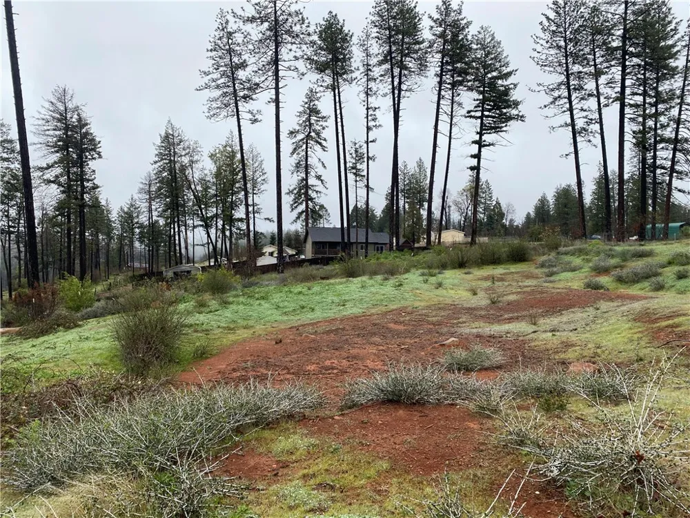 1433 Coldren Paradise, CA 95969