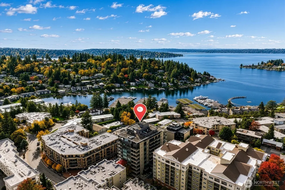 10000 Main Street #502 Bellevue, WA 98004