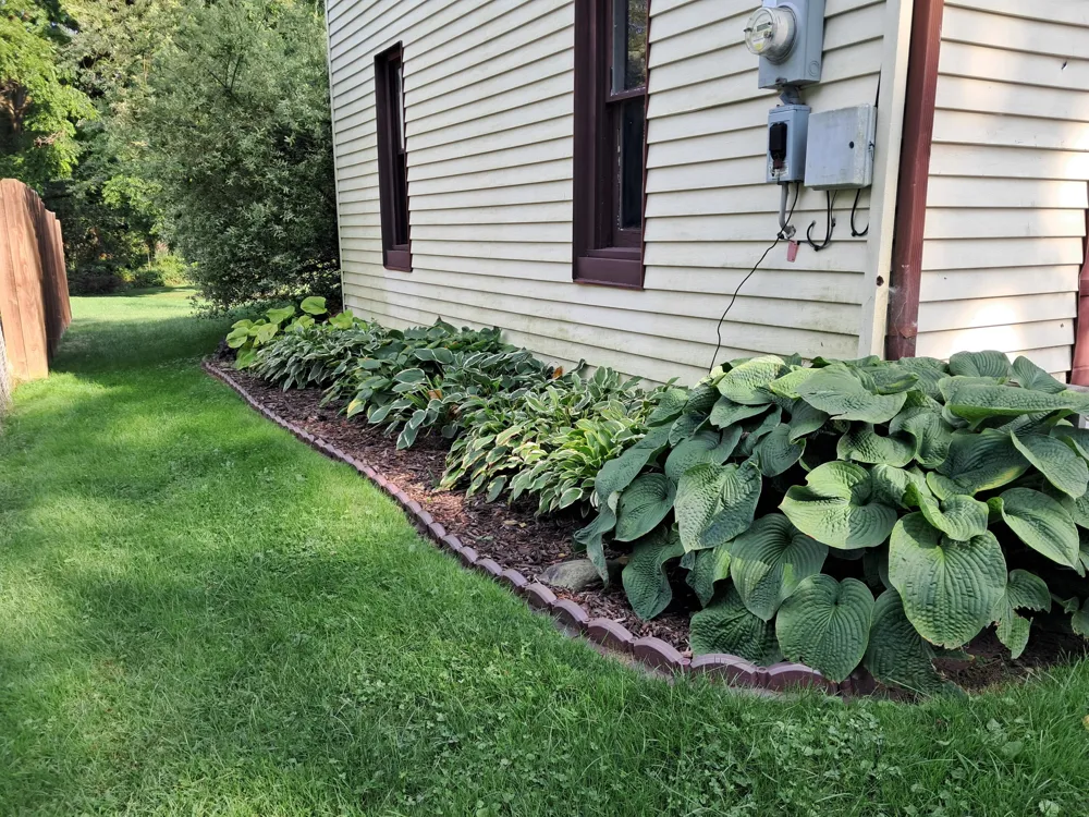 1130 Fletcher Avenue Kalamazoo, MI 49006