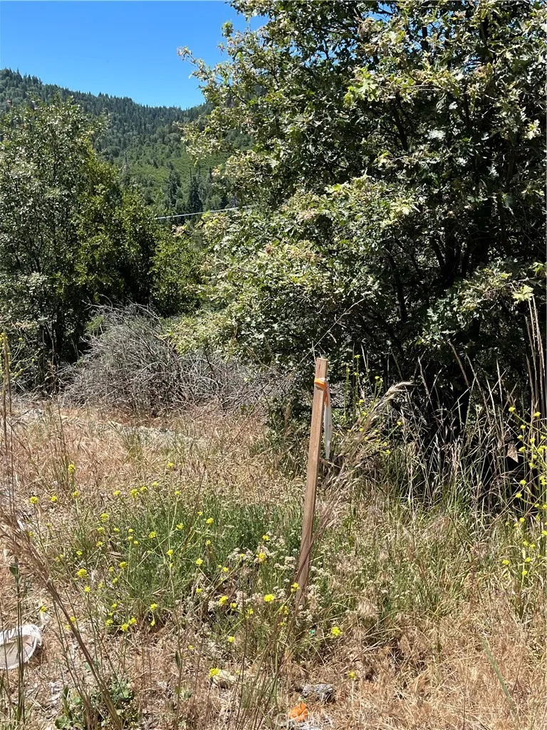 Balsam Way Cedar Glen, CA 92321