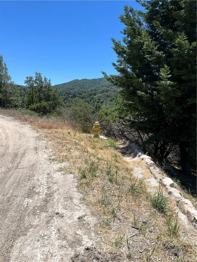 Balsam Way Cedar Glen, CA 92321