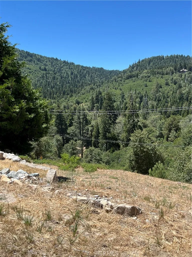 Balsam Way Cedar Glen, CA 92321