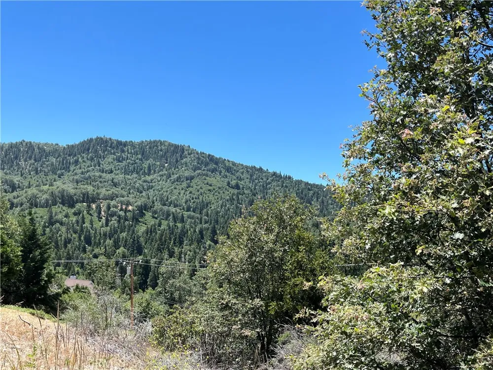 Balsam Way Cedar Glen, CA 92321