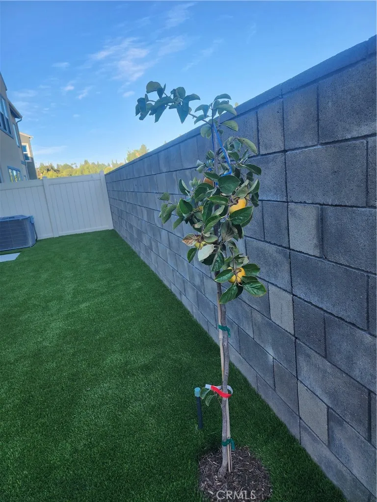 1002 Citron Fullerton, CA 92835