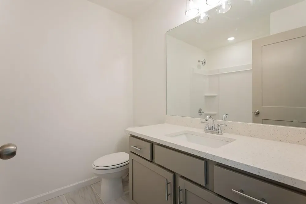 3041 Sea Aster Way Buford, GA 30519