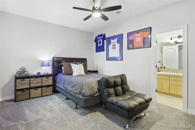 5347 Sage Thrasher Road Parker, CO 80134