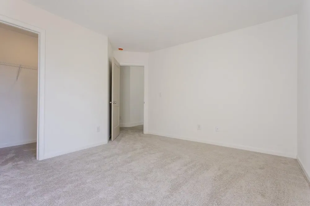 3277 Wild Clary Court Buford, GA 30519