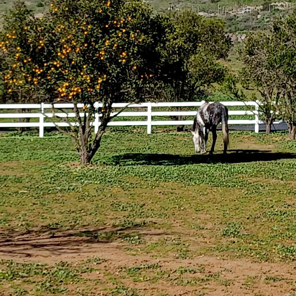 334 Rainbow Crest Road Fallbrook, CA 92028