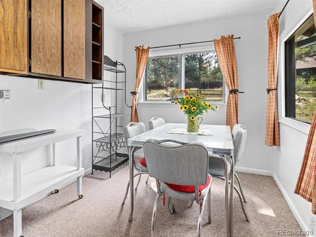 1155 Broadview Road Estes Park, CO 80517