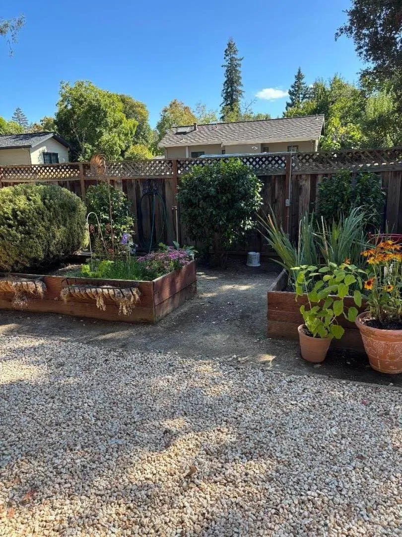 Laurel Avenue Menlo Park, CA 94025