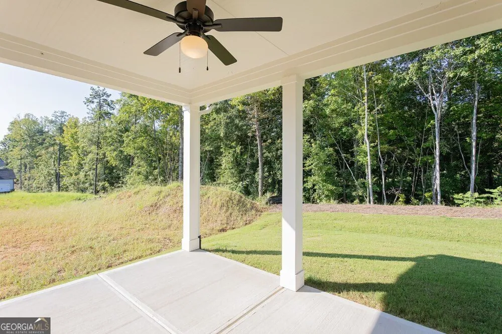 3277 Wild Clary CT Buford, GA 30519