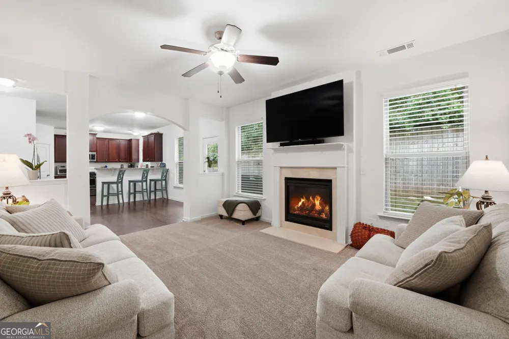 246 Manous WAY Canton, GA 30115