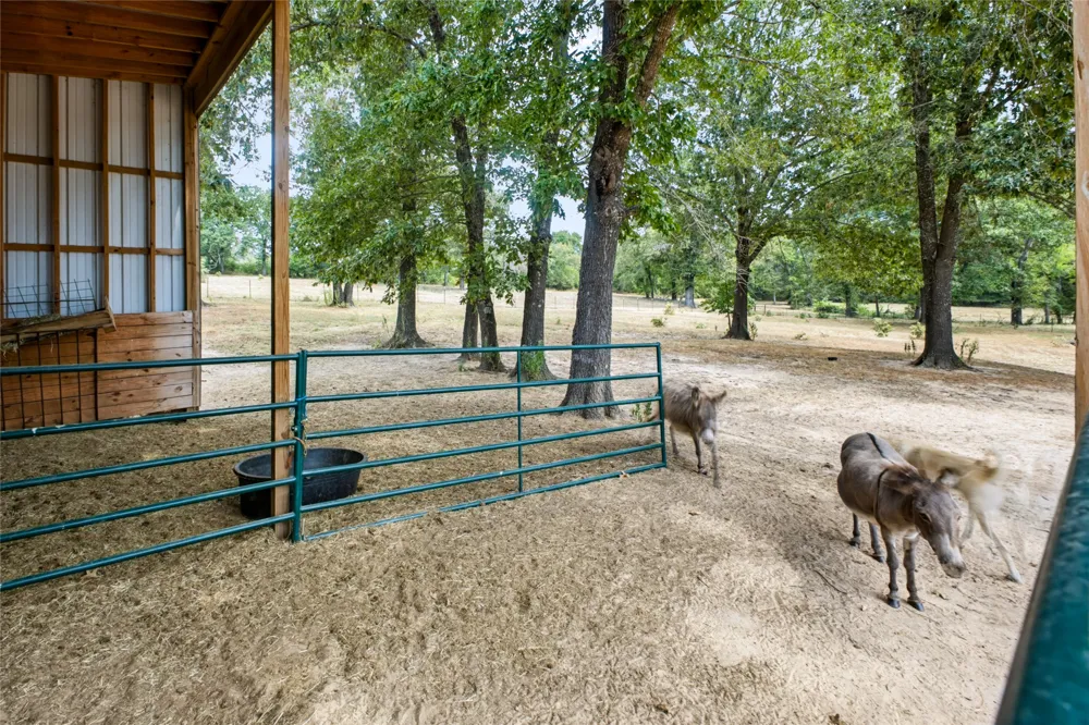 3597 Half Bank Road Atoka, OK 74525