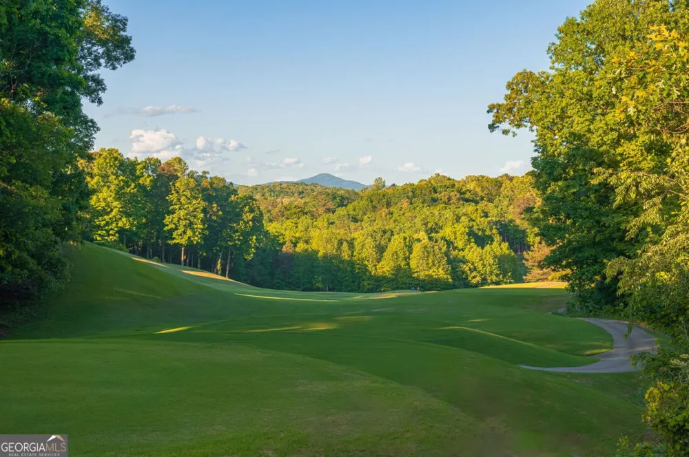 117 Peninsula WAY Dawsonville, GA 30534