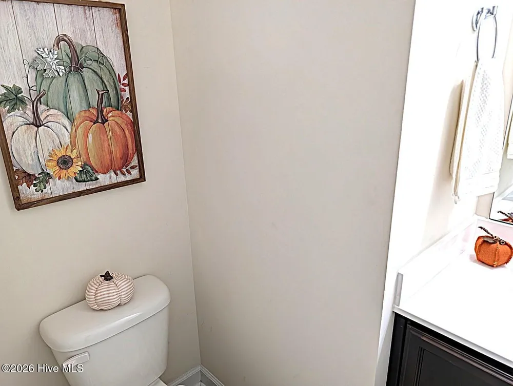 110 Sonia Drive Hubert, NC 28539
