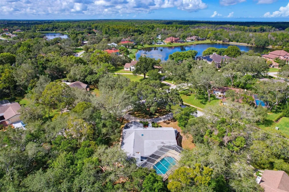 7256 ROYAL OAK DRIVE Spring Hill, FL 34607