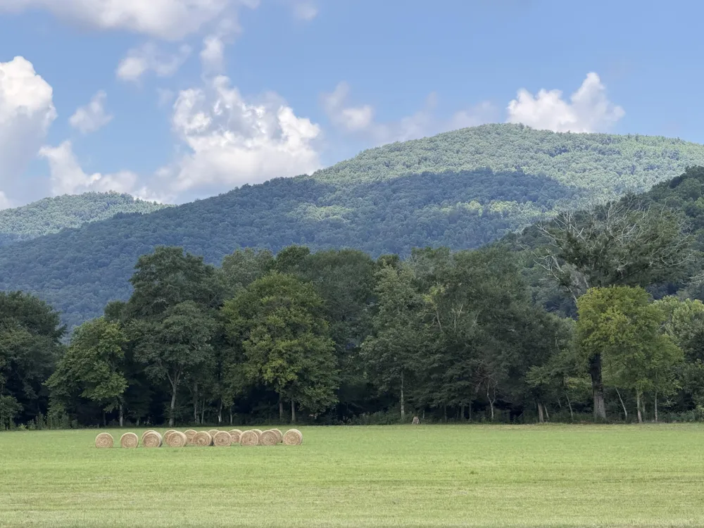 4915 Sweetens Cove Road South Pittsburg, TN 37380