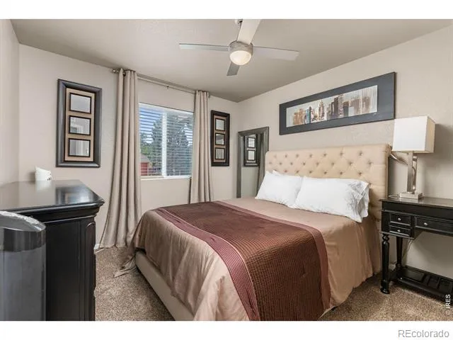 161 E Ilex Court Milliken, CO 80543
