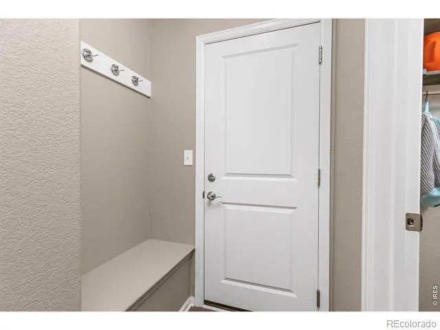 161 E Ilex Court Milliken, CO 80543