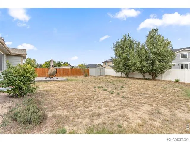 161 E Ilex Court Milliken, CO 80543