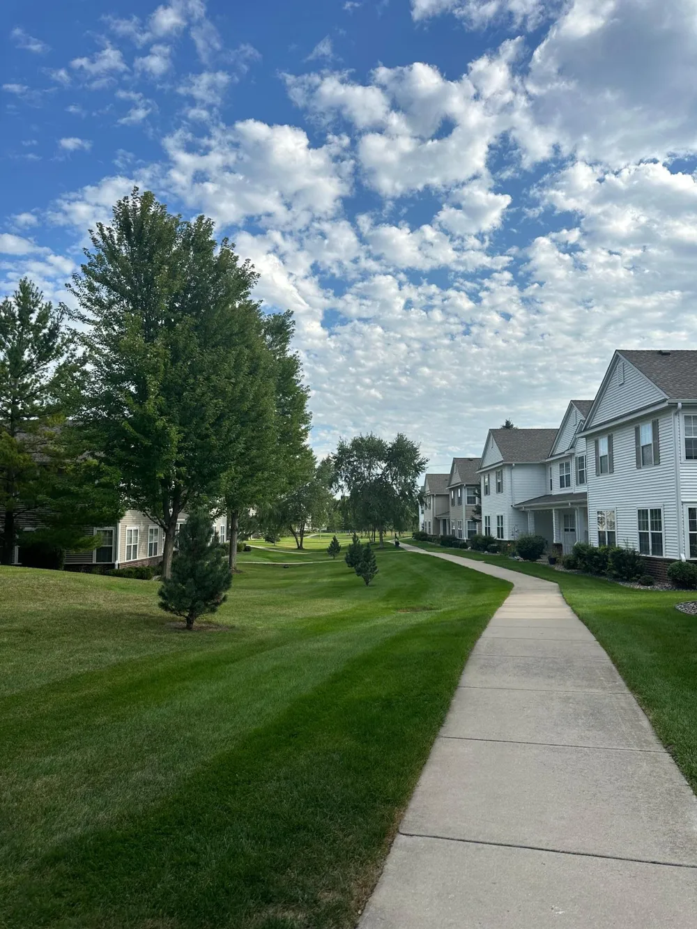 4828 Bisset Lane #8505 Inver Grove Heights, MN 55076