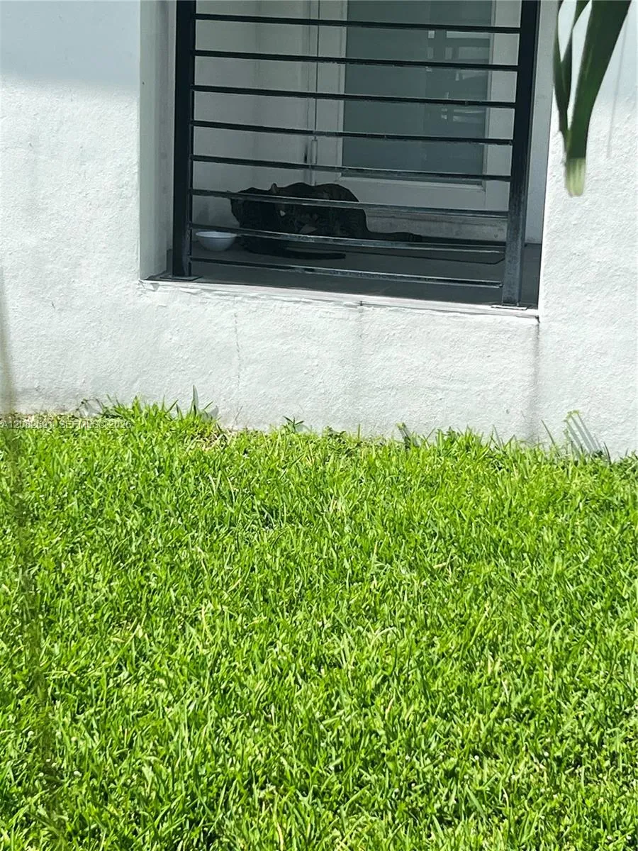 15 NW 52nd St Miami, FL 33127