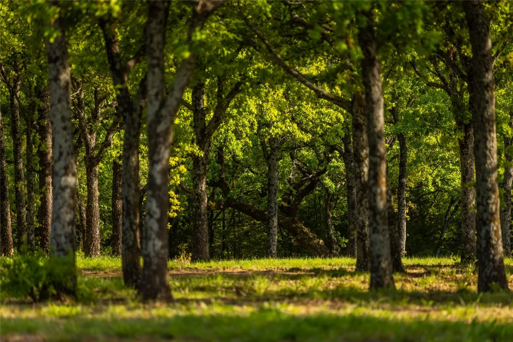 1838 Liberty Road Gordonville, TX 76245