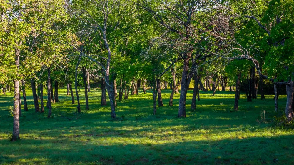1838 Liberty Road Gordonville, TX 76245