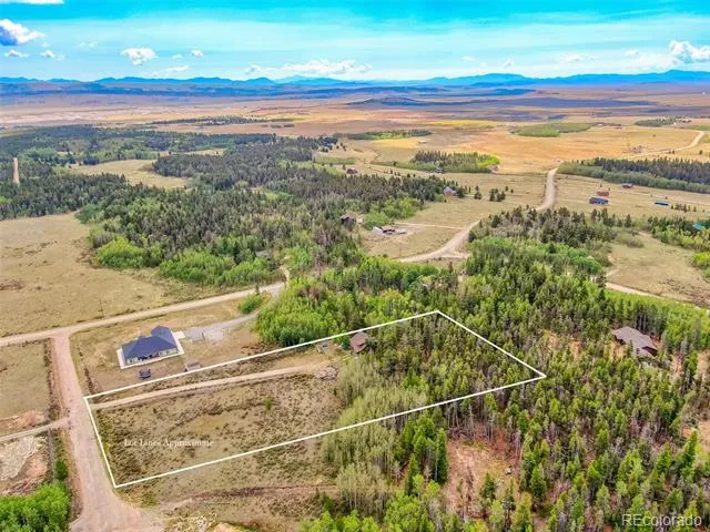 58 Muhly Court Fairplay, CO 80440