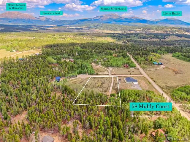 58 Muhly Court Fairplay, CO 80440