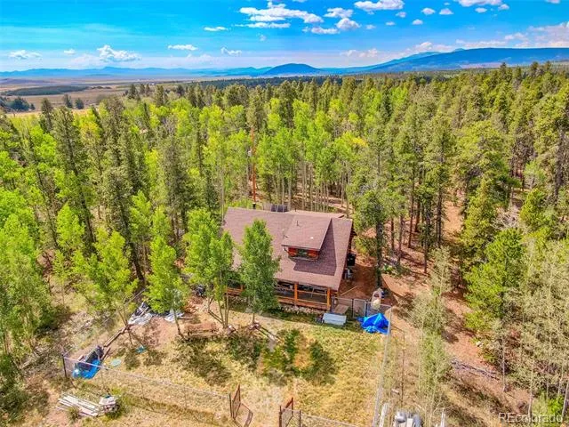 58 Muhly Court Fairplay, CO 80440