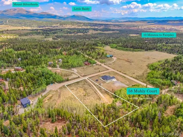 58 Muhly Court Fairplay, CO 80440