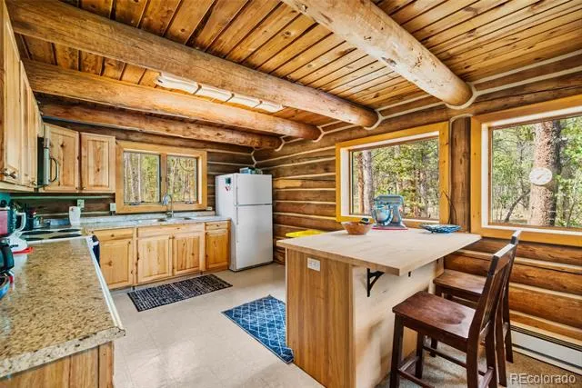 58 Muhly Court Fairplay, CO 80440