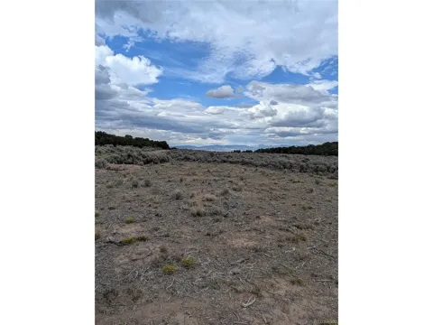 42 Big Buck Trail