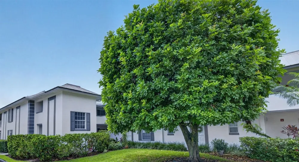 803 SE CENTRAL PARKWAY #9 Stuart, FL 34994
