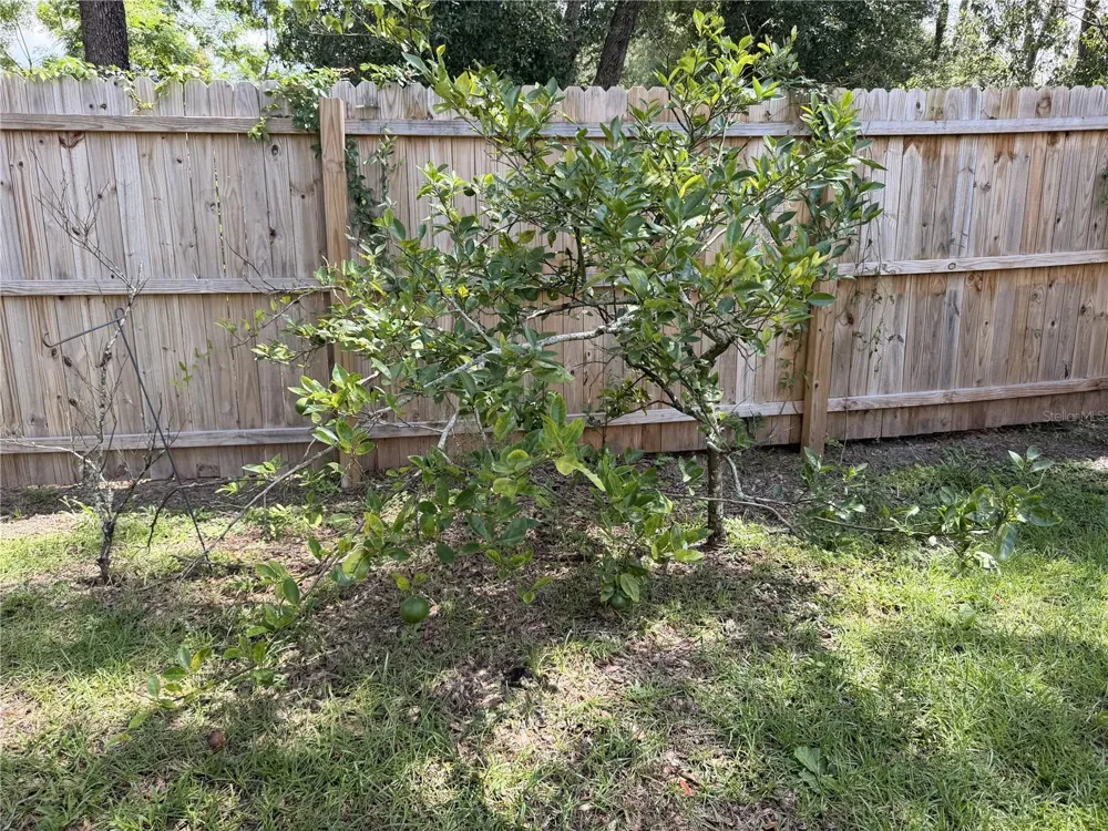 5360 OLANCHA ROAD Dade City, FL 33523