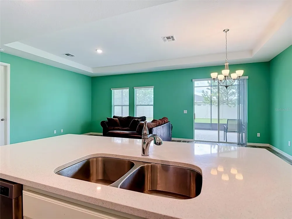 2929 DEERBERRY LANE Clermont, FL 34714