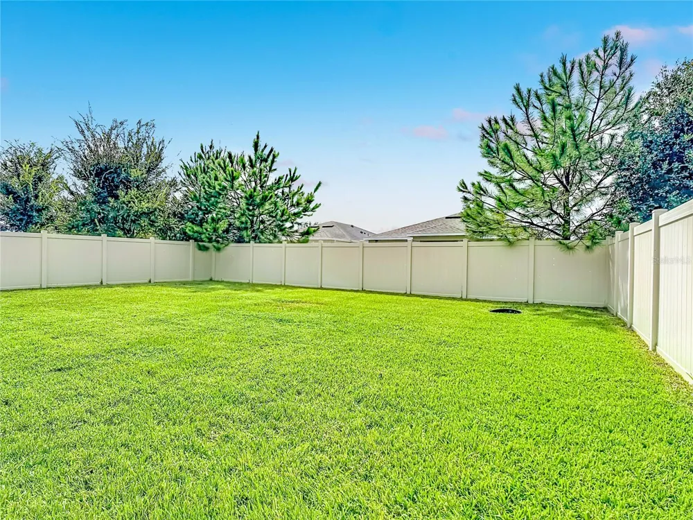 2929 DEERBERRY LANE Clermont, FL 34714