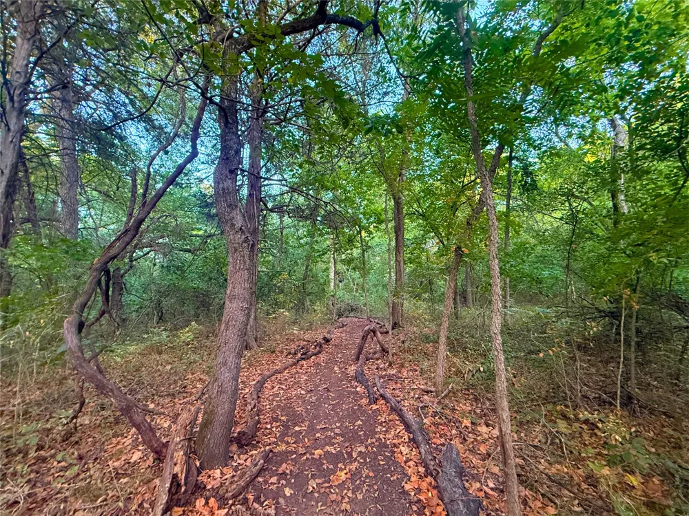 5819 Matilda Drive Glencoe, OK 74032