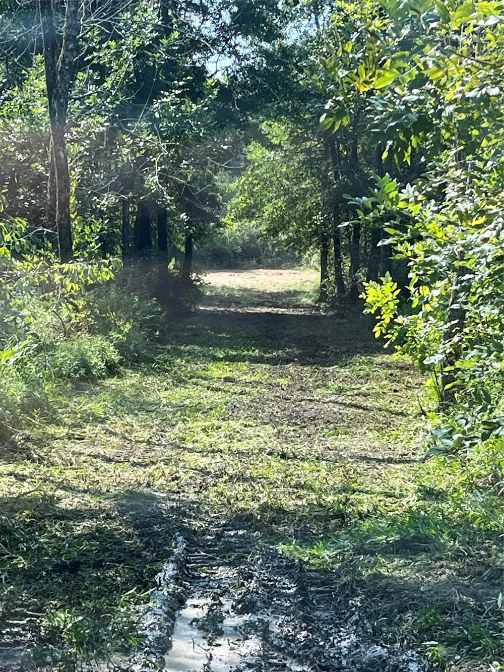 CR 2374 Detroit, TX 75436