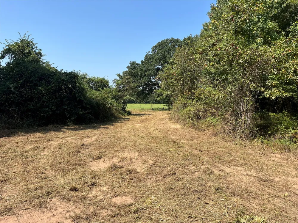 CR 2374 Detroit, TX 75436