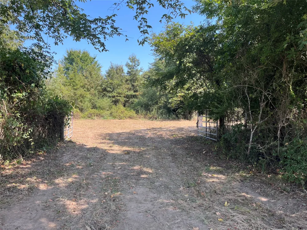 CR 2374 Detroit, TX 75436