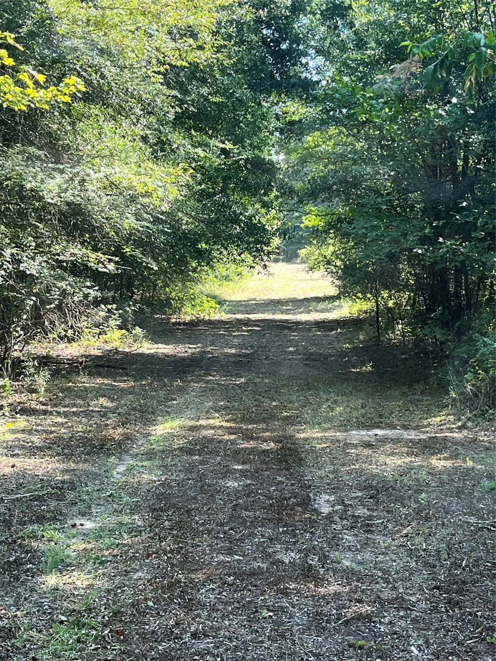 CR 2374 Detroit, TX 75436