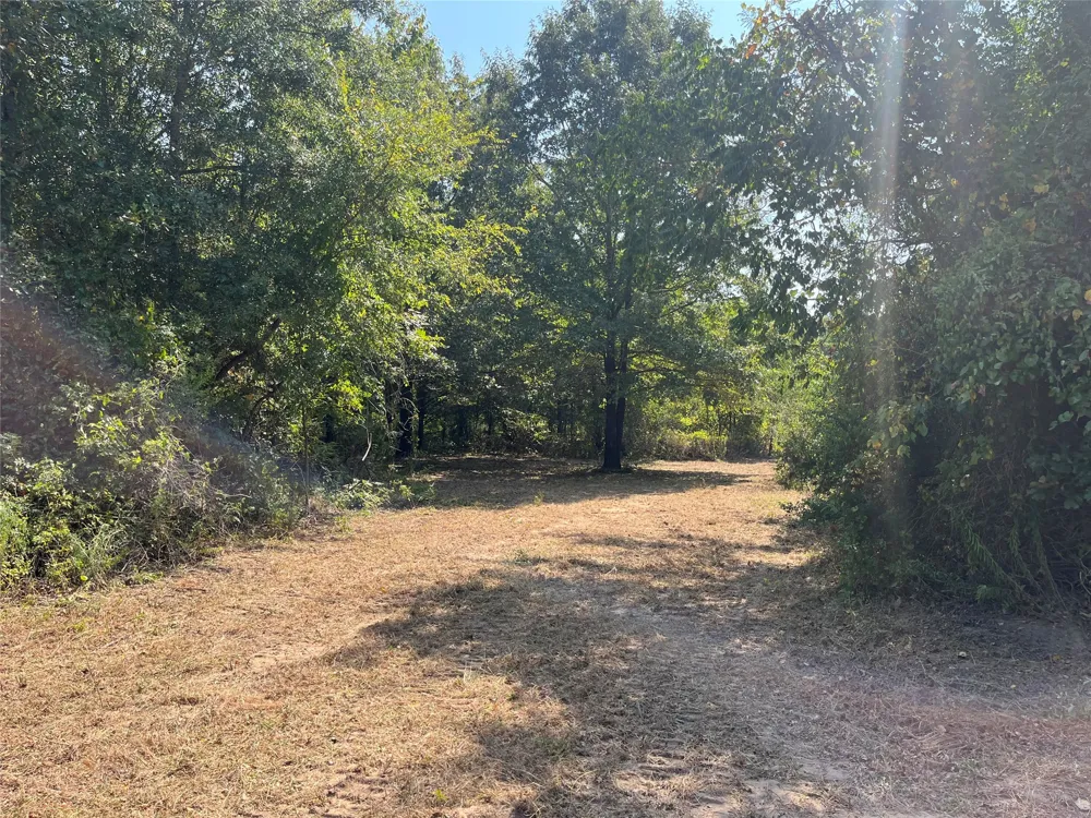 CR 2374 Detroit, TX 75436