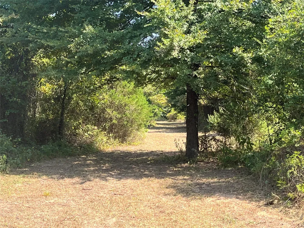 CR 2374 Detroit, TX 75436